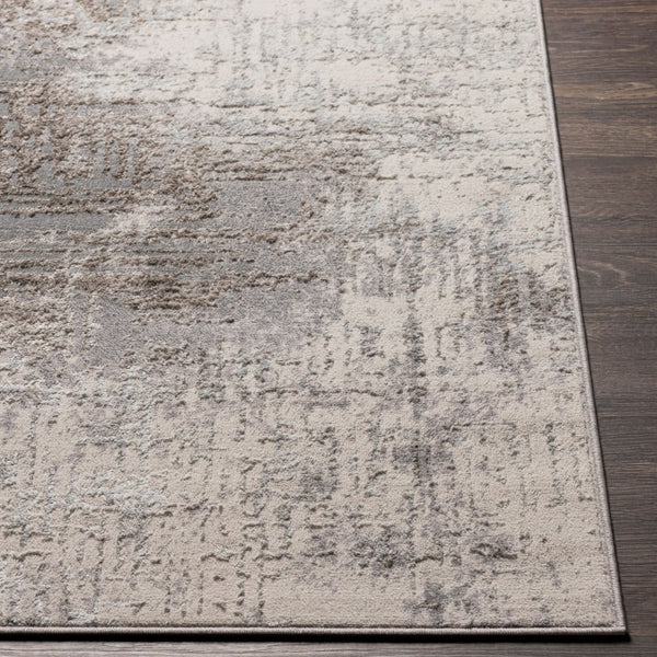 Livabliss Firenze Machine Woven Polyester Accent Rug with Lustrous Sheen for Entryways and Bohemian Layering Charcoal, Gray 2'7" x 3'10" FZE2300-3146