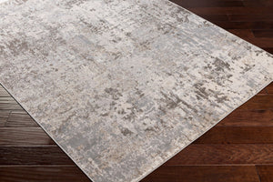 Livabliss Firenze Machine Woven Polyester Area Rug for Entryways and Transitional Modern Spaces Charcoal, Gray 7'10" x 9'6" FZE2303-7996