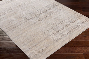 Livabliss Firenze Traditional Motif Polyester Area Rug Turkish Woven Accent for Entryway Charcoal, Gray 3'3" x 4'5" FZE2304-3345
