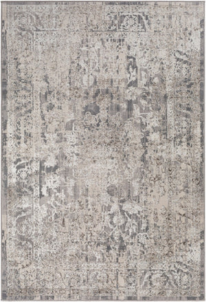 Livabliss Firenze Traditional Polyester Machine Woven Rug Soft Medium Pile Entryway Accent FZE2310-3345