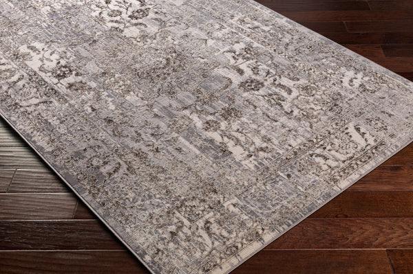Livabliss Firenze Traditional Polyester Machine Woven Rug Soft Medium Pile Entryway Accent FZE2310-3345