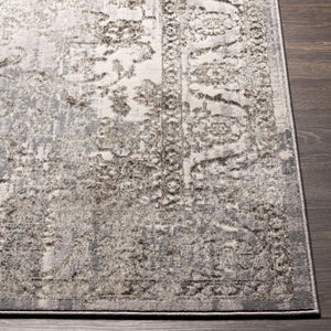 Livabliss Firenze Traditional Polyester Machine Woven Rug Soft Medium Pile Entryway Accent FZE2310-3345