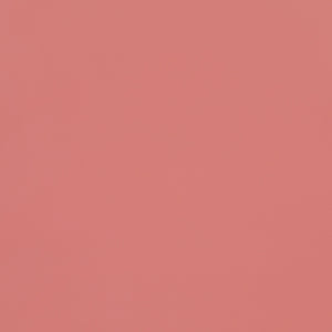 Devan Modern L-Shape Bunk Bed with Fun Cut-Out Panels - Space-Saving Design in White & Terracotta