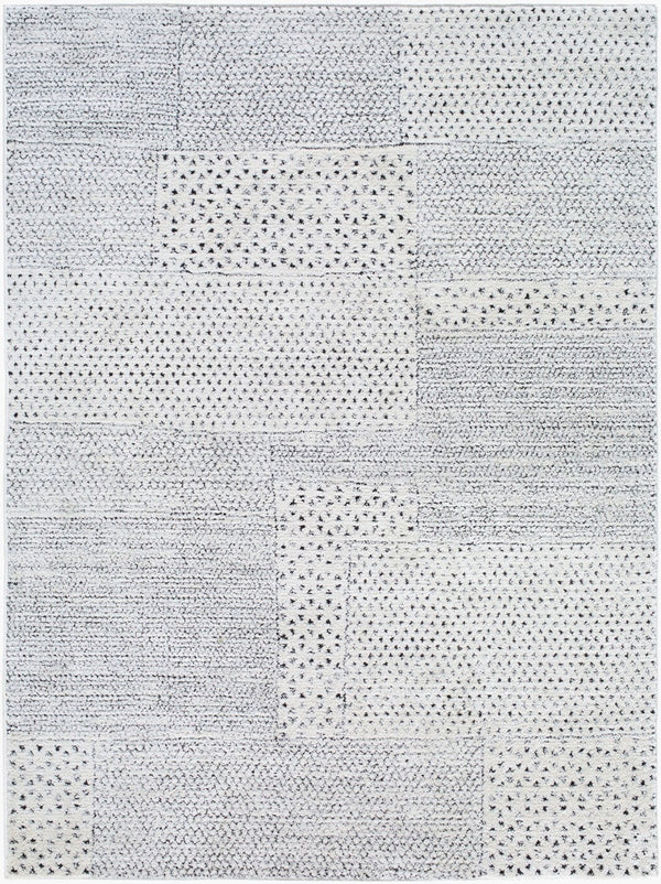 Livabliss Architect Galey Alix Geometric Runner Rug High Low Pile Polyester Hallway Entryway Ivory, Black 5'3" x 7' GAAR2302-537