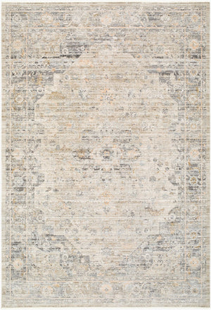 Livabliss Breckley Traditional Fringe Accent Rug Turkish Woven Polyester for Entryway or Bedroom Olive, Medium G 6'7" x 9'6" GABC2301-6796
