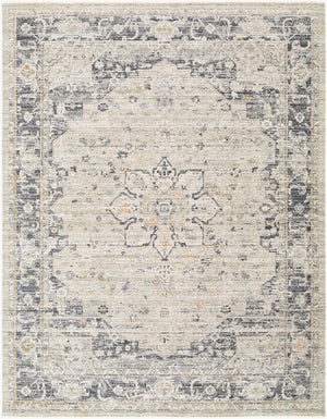 Livabliss Breckley Traditional Turkish Polyester Indoor Outdoor Rug with Fringe Entryway Accent Olive, Medium G 7'10" x 10' GABC2302-71010