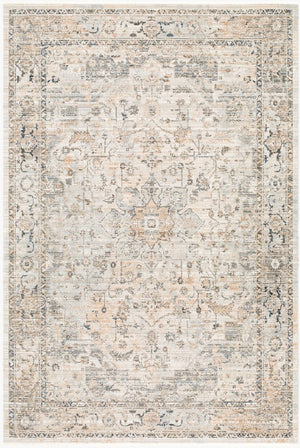 Livabliss Breckley Traditional Fringe Polyester Rug Turkish Woven for Entryway or Patio Medium Gray, Ch 6'7" x 9'6" GABC2303-6796