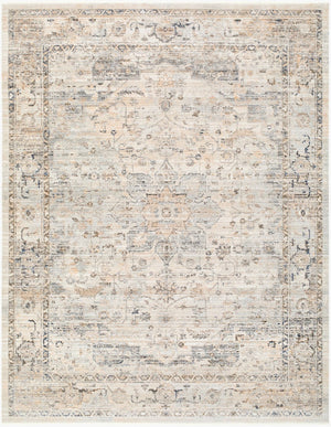 Livabliss Breckley Traditional Fringe Polyester Rug Turkish Woven for Entryway or Patio Medium Gray, Ch 7'10" x 10' GABC2303-71010