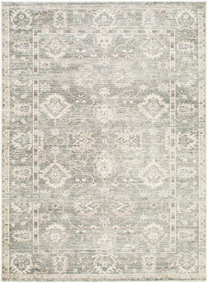Livabliss Collins Avenue Oushak Inspired Polyester Accent Rug Plush Pile for Entryway or Bedroom Dusty Sage, Bei 9'1" x 12' GACA2300-9112