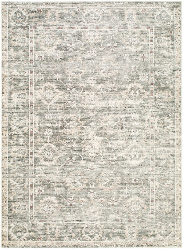 Livabliss Collins Avenue Oushak Inspired Polyester Accent Rug Plush Pile for Entryway or Bedroom Dusty Sage, Bei 9'1" x 12' GACA2300-9112
