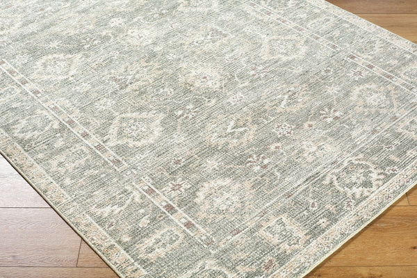 Livabliss Collins Avenue Oushak Inspired Polyester Accent Rug Plush Pile for Entryway or Bedroom Dusty Sage, Bei 9'1" x 12' GACA2300-9112