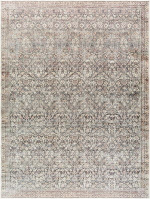 Livabliss Collins Avenue Vintage Floral Machine Woven Polyester Accent Rug for Entryways Ivory, Rust 9'1" x 12' GACA2302-9112