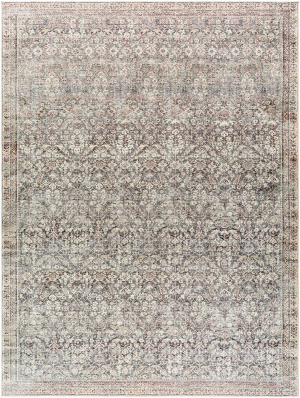 Livabliss Collins Avenue Vintage Floral Machine Woven Polyester Accent Rug for Entryways Ivory, Rust 9'1" x 12' GACA2302-9112