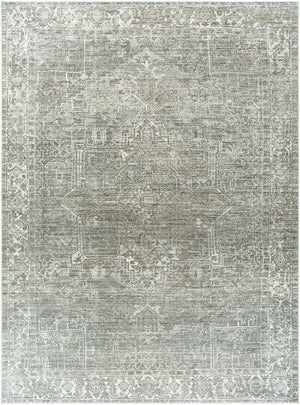 Livabliss Collins Avenue Medallion Accent Rug Plush Polyester Weave for Bedside or Entryway Olive, Ivory 9'1" x 12' GACA2306-9112