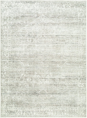 Livabliss Collins Avenue Medallion Accent Rug Polyester Pile Turkish Woven Entryway Decor Medium Gray, Iv 2'1" x 3'9" GACA2307-2745