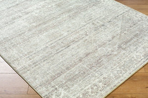Livabliss Collins Avenue Medallion Accent Rug Polyester Pile Turkish Woven Entryway Decor Medium Gray, Iv 2'1" x 3'9" GACA2307-2745