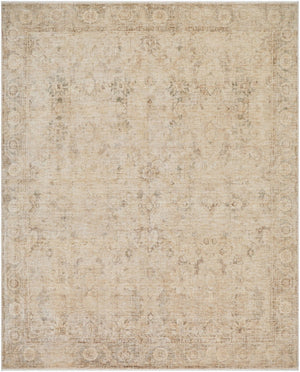 Livabliss Fetscher Vintage Distressed Polyester Area Rug for Large Living and Dining Spaces Olive, Light Be 7'10" x 10' GAHU2301-71010