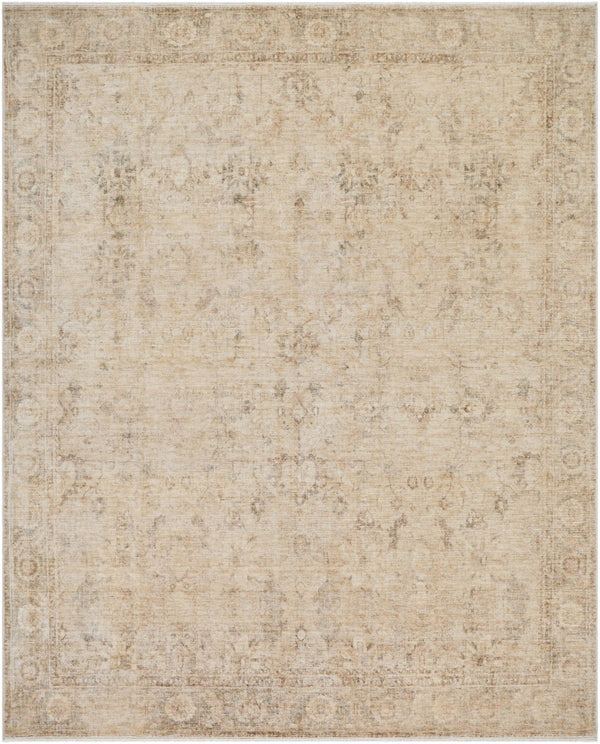 Livabliss Fetscher Vintage Distressed Polyester Area Rug for Large Living and Dining Spaces Olive, Light Be 7'10" x 10' GAHU2301-71010
