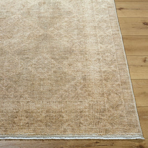 Livabliss Fetscher Distressed Geometric Area Rug Polyester Vintage Neutral Entryway Accent Olive, Light Be 7'10" x 10' GAHU2303-71010