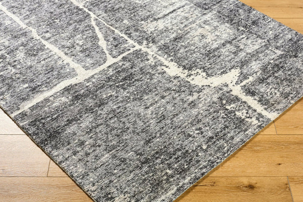 Livabliss Janek Hand Tufted Polyester Accent Rug Mid Century Modern Low Pile Entryway Medium Gray, Li 2' x 3' GAJA2302-23