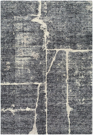 Livabliss Janek Hand Tufted Polyester Accent Rug Mid Century Modern Low Pile Entryway Medium Gray, Li 2' x 3' GAJA2302-23