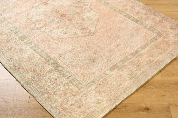 Livabliss Luciana Hand Tufted Polyester Accent Rug Traditional Motifs for Entryway or Kitchen Sage, Sandstone 8'10" x 12' GALU2301-81012