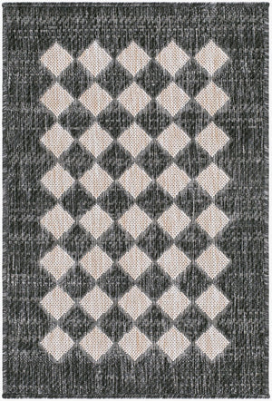 Livabliss Mulberry Flatweave Polypropylene Rug Turkey Woven for Indoor Outdoor Entryway Use Black, Tan 2'7" x 7'3" GAMU2300-2773