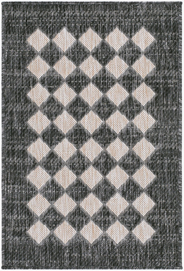 Livabliss Mulberry Flatweave Polypropylene Rug Turkey Woven for Indoor Outdoor Entryway Use Black, Tan 2'7" x 7'3" GAMU2300-2773