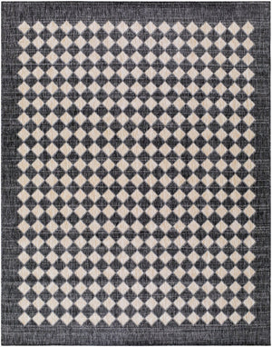 Livabliss Mulberry Flatweave Polypropylene Rug Turkey Woven for Indoor Outdoor Entryway Use Black, Tan 7'10" x 10' GAMU2300-71010