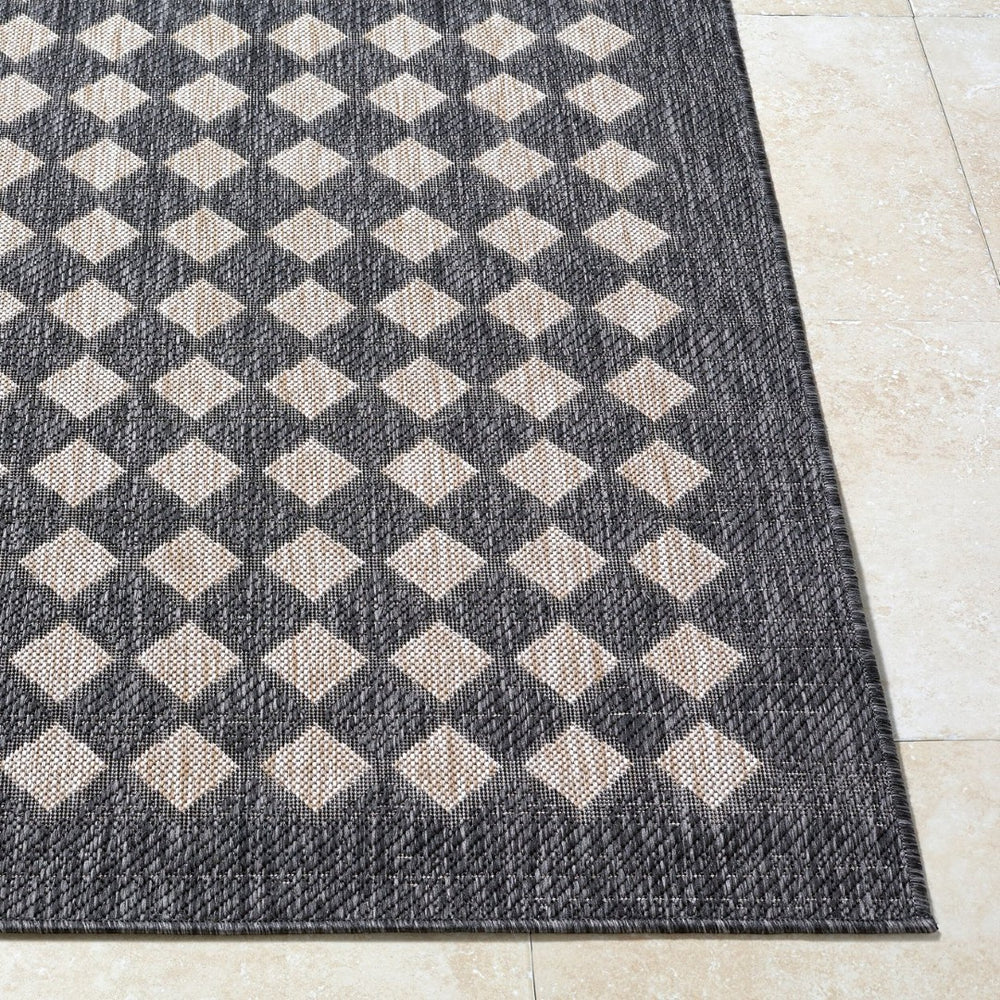 Livabliss Mulberry Flatweave Polypropylene Rug Turkey Woven for Indoor Outdoor Entryway Use Black, Tan 2'7" x 7'3" GAMU2300-2773