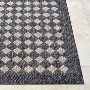Livabliss Mulberry Flatweave Polypropylene Rug Turkey Woven for Indoor Outdoor Entryway Use Black, Tan 9'2" x 12' GAMU2300-9212