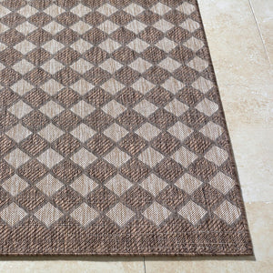 Livabliss Mulberry Geometric Polypropylene Area Rug Woven for Indoor Outdoor Entryway Use Tan, Dark Brown 5'3" x 7' GAMU2301-537