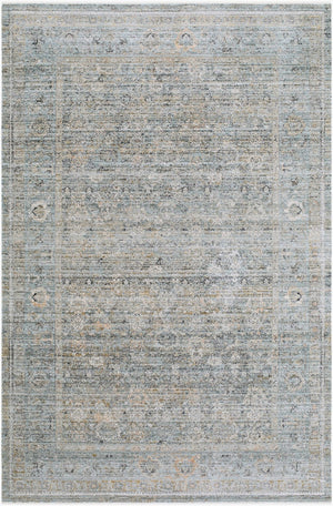 Livabliss Neiland Machine Woven Polyester Rug with Fringe Border for Entryway or Patio Charcoal, Black 9' x 13'1" GANL2301-9131