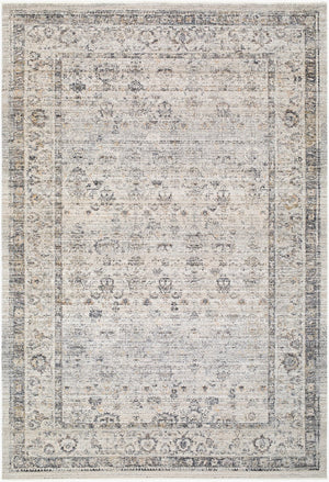 Livabliss Neiland Turkish Woven Polyester Area Rug with Fringe for Entryways and Patios Medium Gray, Bl 6'7" x 9'6" GANL2302-6796