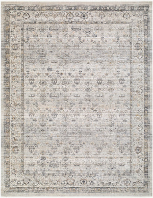 Livabliss Neiland Turkish Woven Polyester Area Rug with Fringe for Entryways and Patios Medium Gray, Bl 7'10" x 10' GANL2302-71010