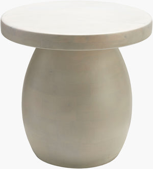 Surya Gant End Table - Elegant Mango Wood Accent With Shelves For Living Room & Bedroom, 20" X 20" X 20" Top, White,Base, White Mango Wood,Mango Wood Gant-001