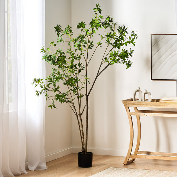 English Elm 210cmartificial Pieris Tree Nearly 7 Foot Faux Indoor Statement Plant Iron Frame 74346.00