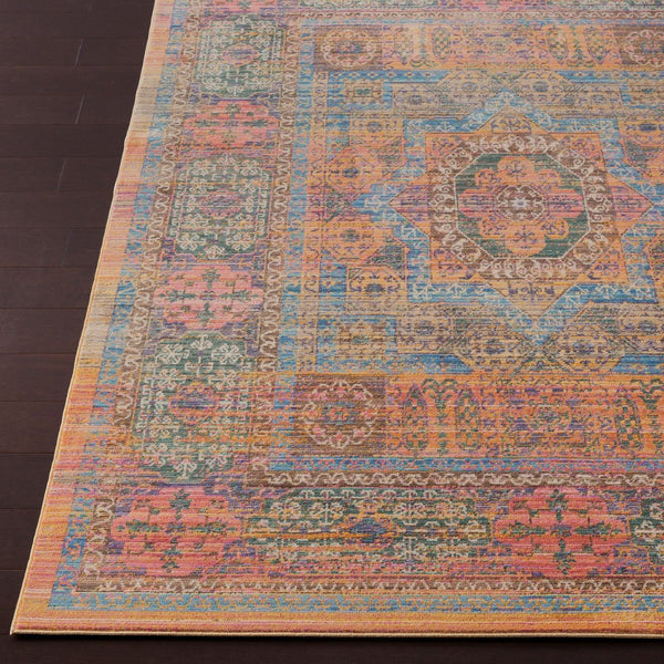 Livabliss Germili Traditional Polyester Machine Woven Low Pile Accent Rug for Entryways GER2302-23