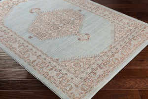 Livabliss Germili Machine Woven Polyester Accent Rug Low Pile Turkish Craft for Entryways GER2310-23