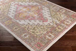 Livabliss Germili Geometric Low Pile Polyester Accent Rug Turkish Woven for Entryway or Bedroom GER2323-23