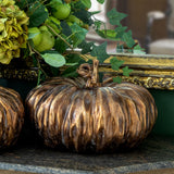 Bronze Heirloom Pumpkin Medium FAB20499 Park Hill