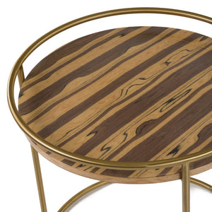 VIG Furniture Gilcrest Round Glam Brown Faux-Marble End Table With Brushed Gold Frame, Compact No-Assembly Accent VGODLZ-199E