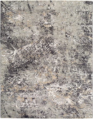 Livabliss Gakko Machine Woven Polyester Area Rug with Fringe for Large Living Spaces Medium Gray, Iv 6'7" x 9'6" GKK2310-6796