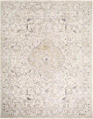 Livabliss Gakko Machine Woven Polyester Area Rug with Fringe for Living and Dining Rooms Charcoal, Ivory 2' x 2'11" GKK2312-2211