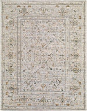 Livabliss Goblen Flatweave Area Rug Egyptian Woven Wool Blend Traditional Living Room Floor Ivory, Taupe 7'10" x 10' GLN2300-71010
