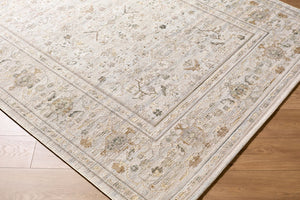 Livabliss Goblen Flatweave Area Rug Egyptian Woven Wool Blend Traditional Living Room Floor Ivory, Taupe 7'10" x 10' GLN2300-71010