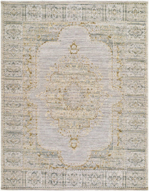 Livabliss Goblen Flatweave Area Rug Egypt Woven Wool Cotton Blend Traditional Living Room Accent Pewter, Sage 10' x 13' GLN2303-1013
