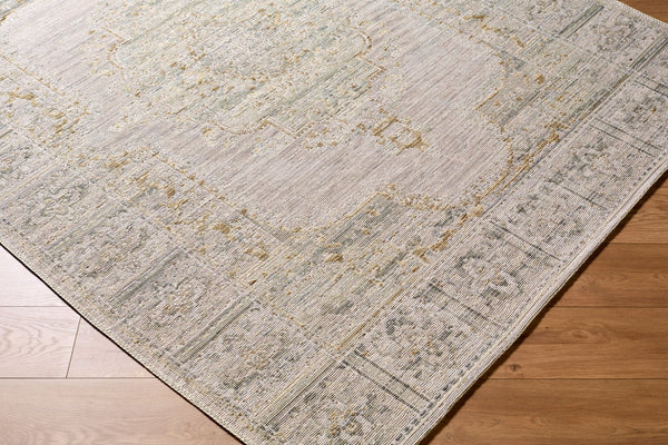 Livabliss Goblen Flatweave Area Rug Egypt Woven Wool Cotton Blend Traditional Living Room Accent Pewter, Sage 10' x 13' GLN2303-1013