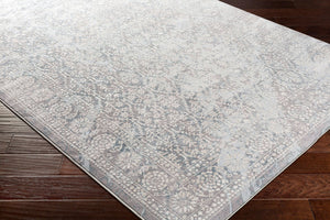 Livabliss Genesis Traditional Motif Machine Woven Polyester Accent Rug for Entryway or Bedroom Light Slate, Wh 2'7" x 7'7" GNS2304-2776