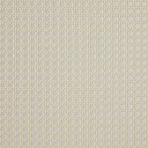 Queen Platform Bed with Rattan Headboard Insert Black NRUB5CBL Walker Edison